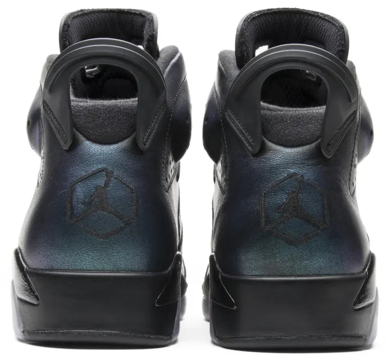 Jordan 6 Retro All-Star Chameleon (2017)